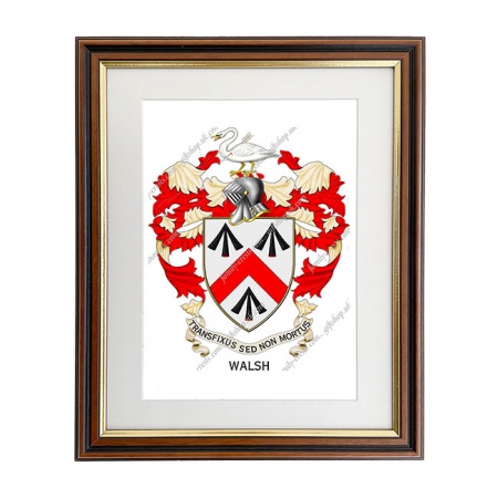 Walsh (Ireland) Coat of Arms Framed Print